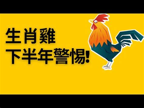 2023屬雞買房方位|【屬雞人住房風水和方位】屬雞最佳住房樓層和風水方位 